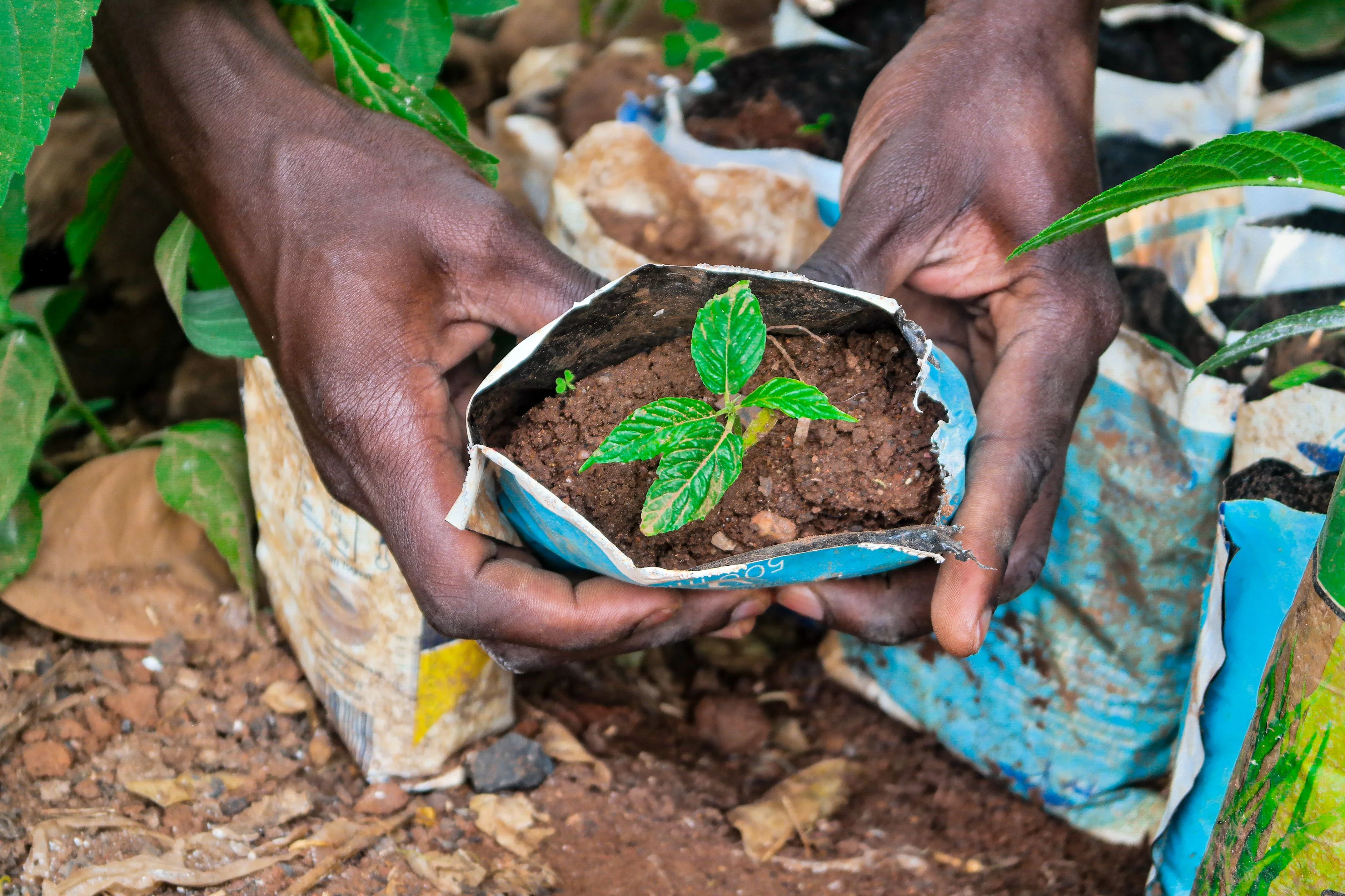 Environmental Conservation